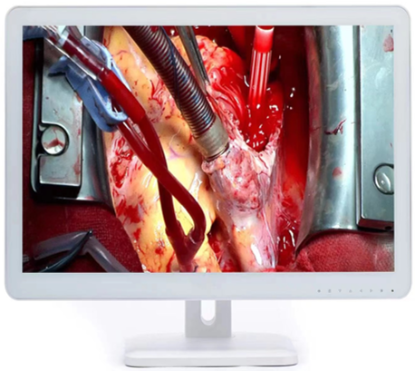 1651916314858726.png 圖片8.png